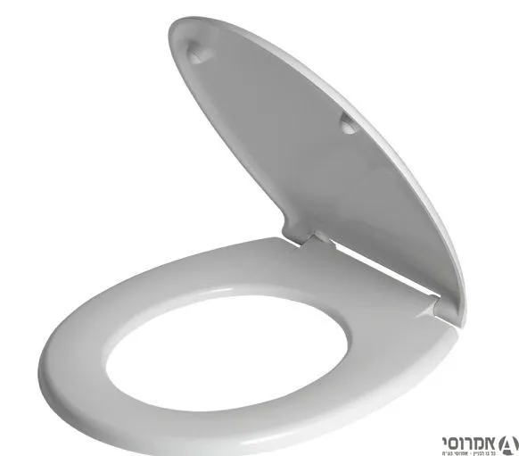 מכסה אסלה חרסה