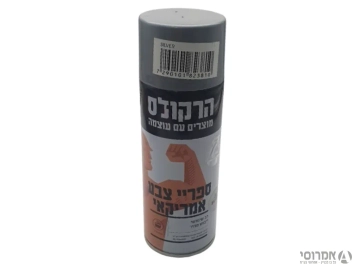 ספריי צבע - כסף