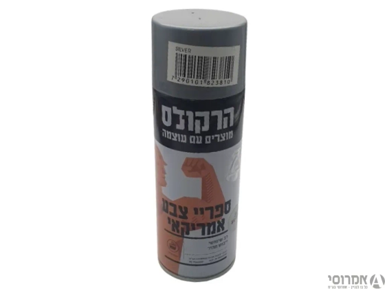 ספריי צבע - כסף