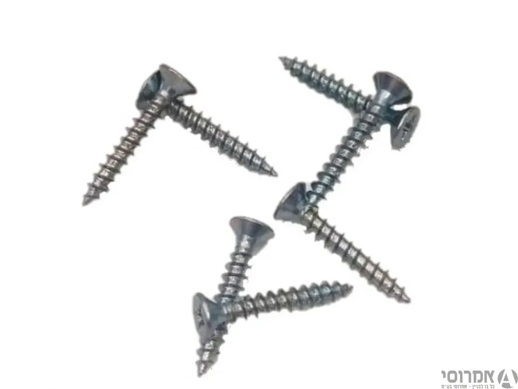 בורג עץ 20*3 מ"מ [100 יח'] 3