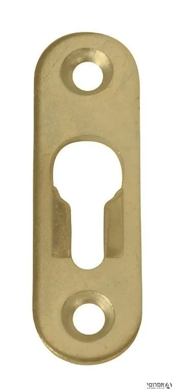 מתלה סמוי מוזהב 223