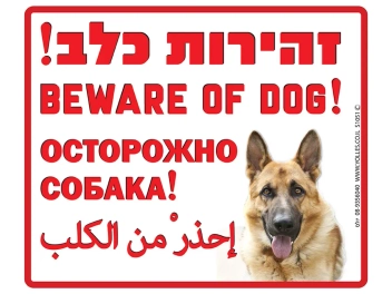 שלט זהירות כלב 4 שפות