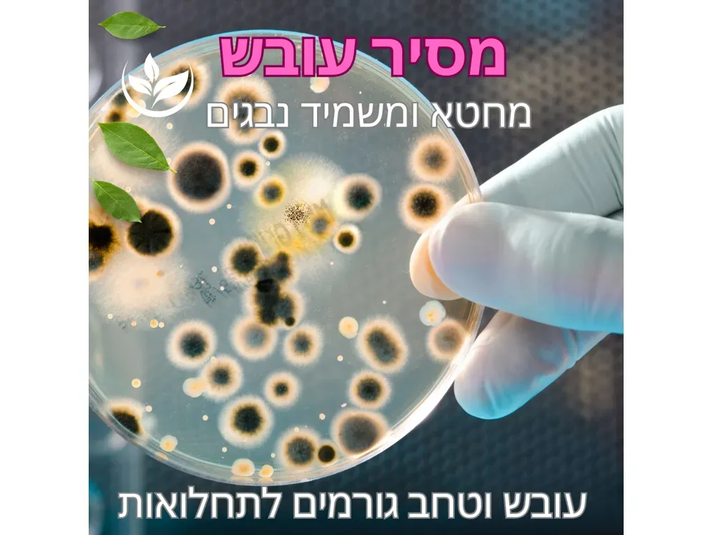 מתז מסיר עובש כללי NTSI אריזה ( 750 מ"ג)