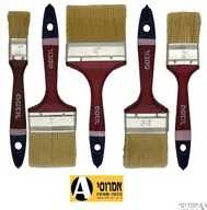 מברשת צבע הילה