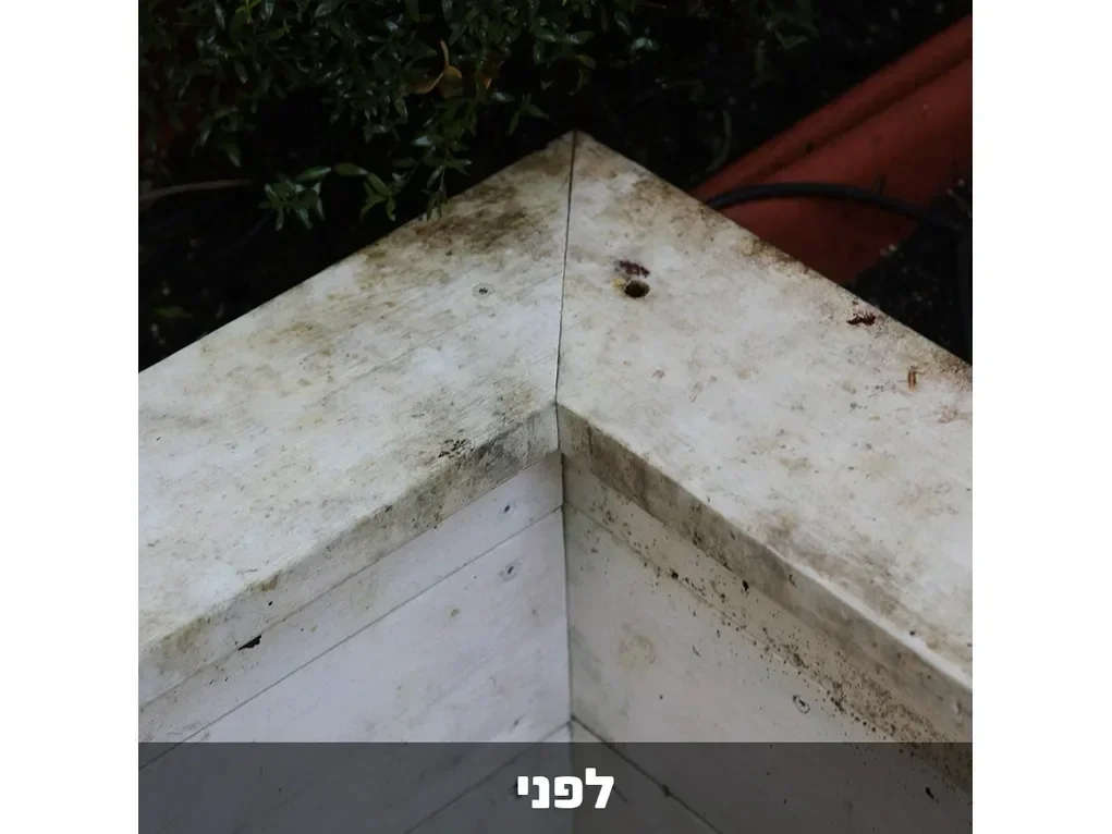  מרענן ומבהיר עץ [גלון] FLOOD פלוד פרו-סאן דק