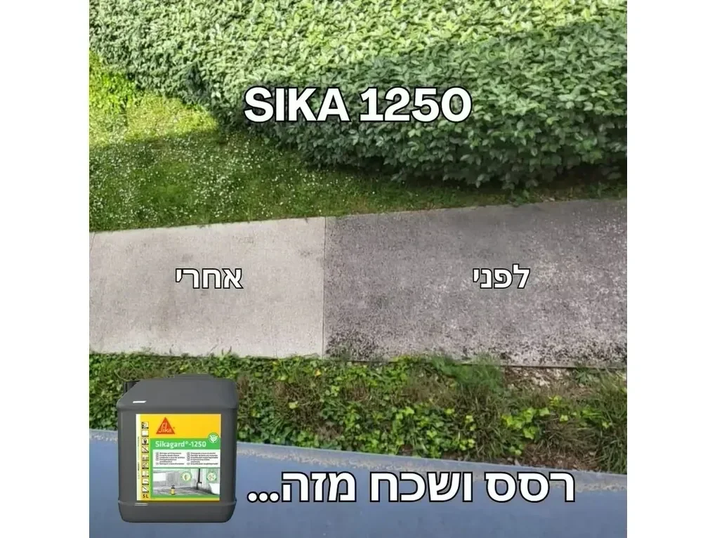 סיקה 1250 על בסיס אנזימים לניקוי עובש ולכלוך אגרסיבי [5 ליטר]- אן.טי