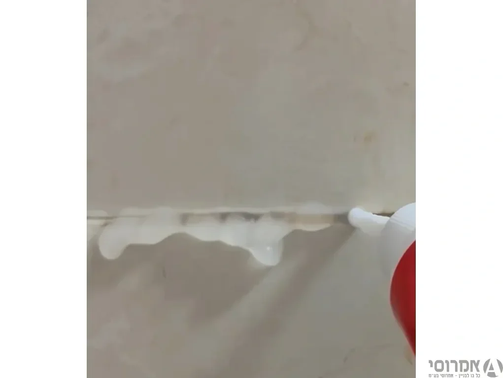 ג'ל אקולוגי להסרת עובש